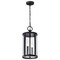 Nuvo Broadstone - 2 Light Hanging Lantern - Matte Black with Clear Seeded Glass 60/8115 - alternate 4